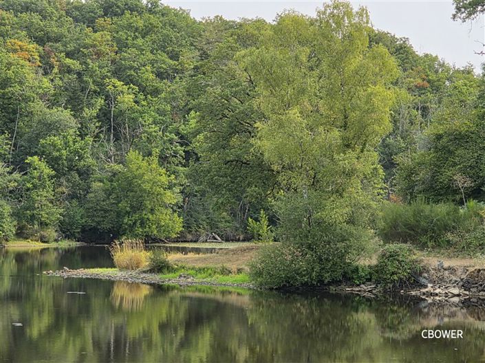 Image No.42-Maison de 11 chambres à vendre à Dompierre-les-Églises