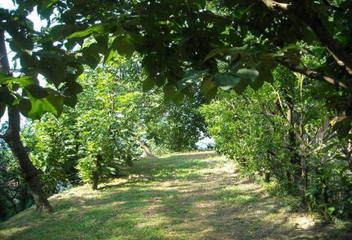 Image No.8-3 Bed Semi-Detached for sale