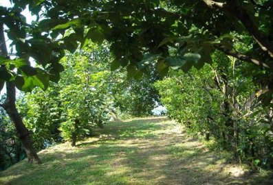 500x3409a3797-barga-j