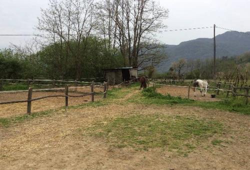 Image No.10-7 Bed Property for sale