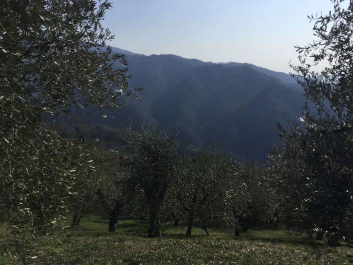 Image No.16-4 Bed Property for sale