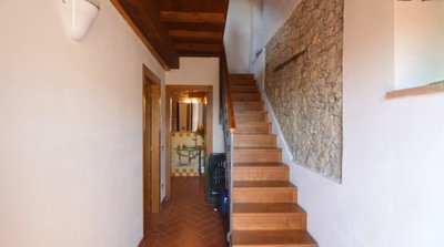 5115-vergemoli-g2