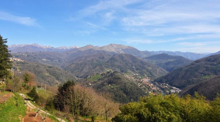 Image No.4-20 Bed Commercial for sale