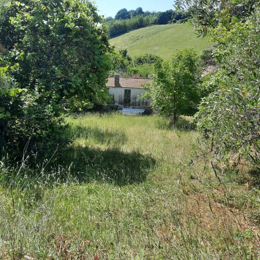 Image No.10-2 Bed Property for sale