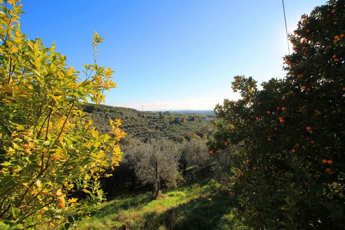 Image No.4-5 Bed Property for sale