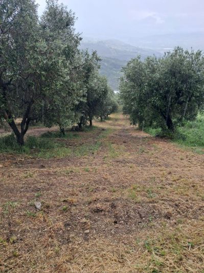 Image No.16-Property for sale