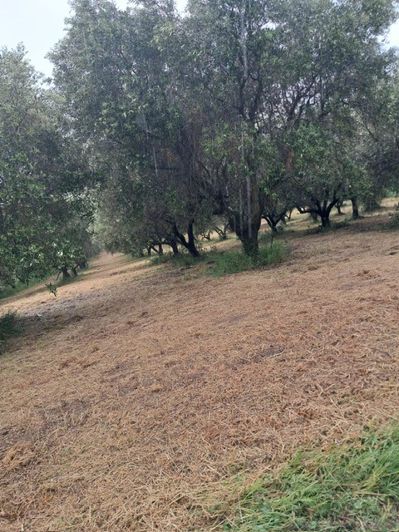 Image No.2-Property for sale