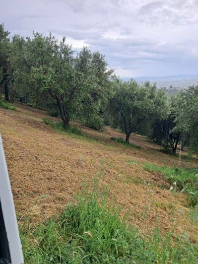 Image No.3-Property for sale