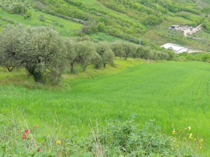 Image No.10-Property for sale