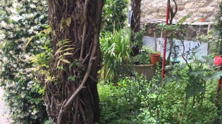 Image No.15-3 Bed House for sale