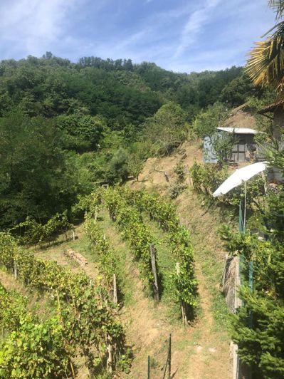 Image No.4-5 Bed House for sale