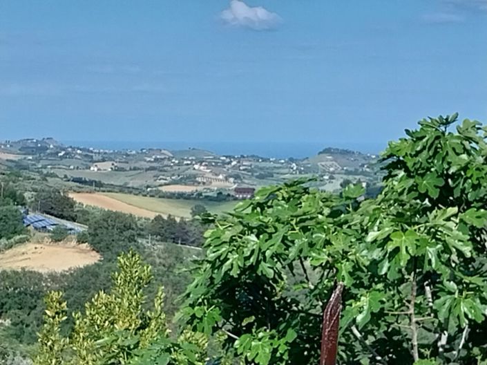 Image No.2-3 Bed Property for sale