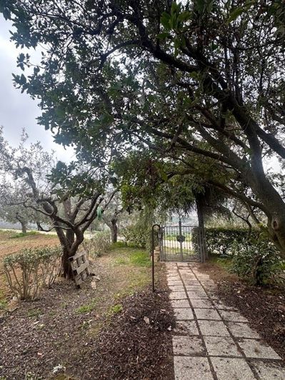 Image No.11-9 Bed Property for sale