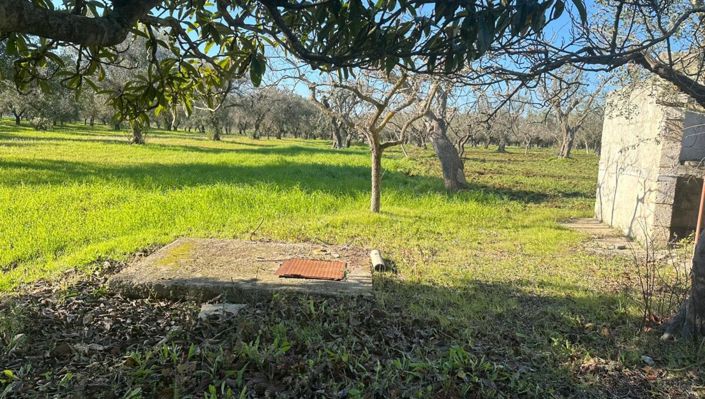 Image No.10-2 Bed Property for sale