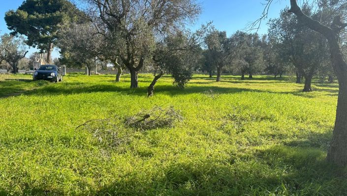 Image No.11-2 Bed Property for sale