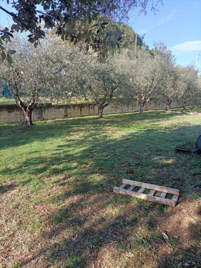 Image No.14-5 Bed Property for sale