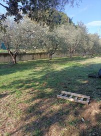 5490-monteprandone-30-garden