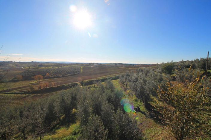 Image No.3-6 Bed Semi-Detached for sale