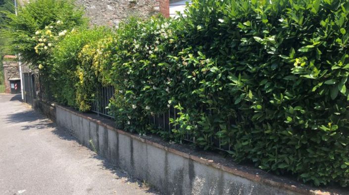 Image No.11-2 Bed House for sale