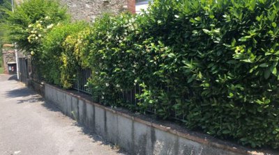 5519-borgo-a-mozzano-a7