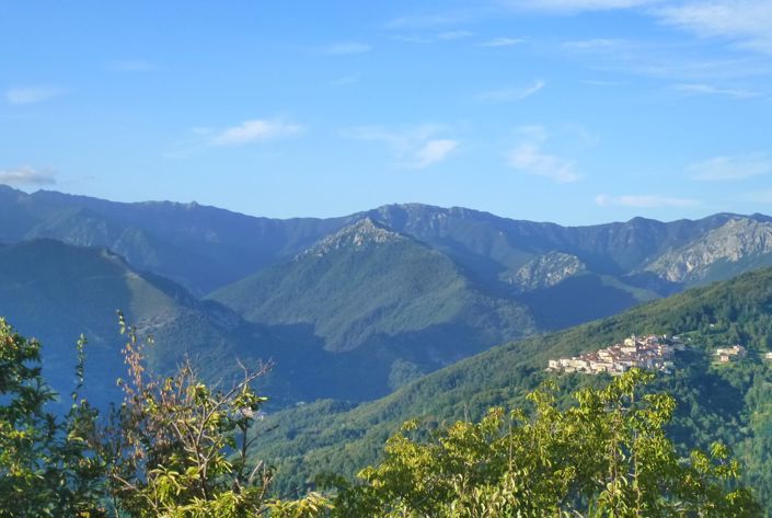 Image No.4-4 Bed House for sale