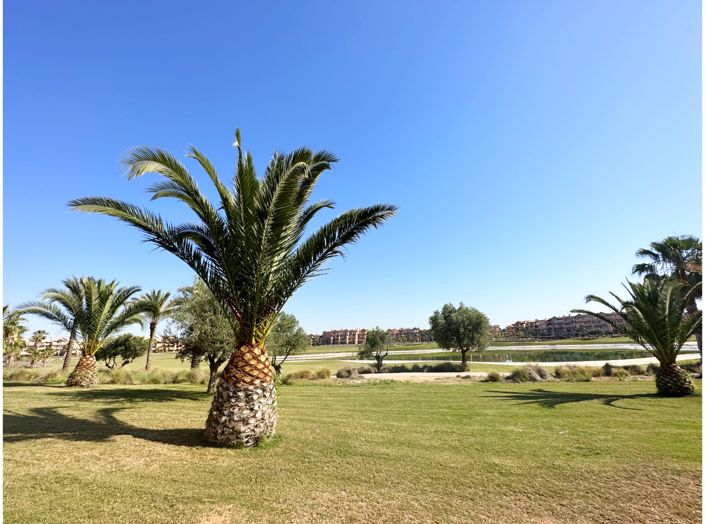 Image No.39-3 Bed Apartment for sale