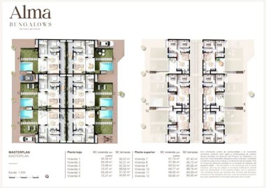 alma-master-plan