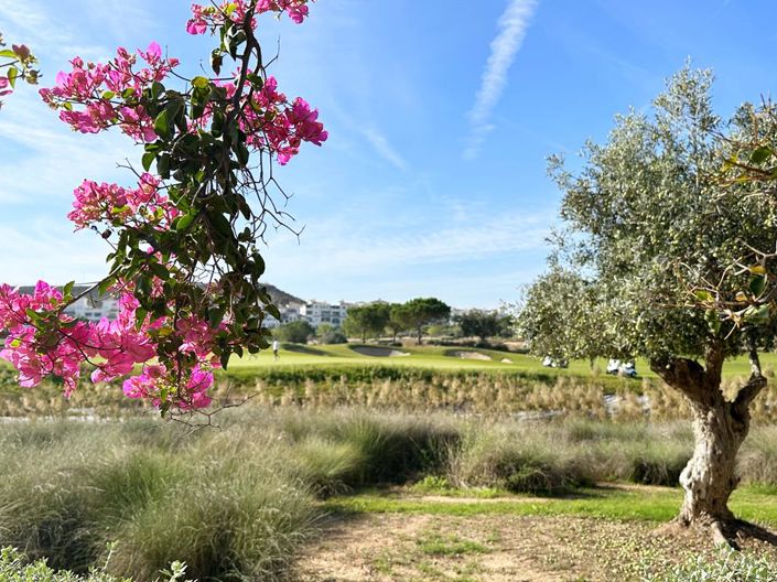 Image No.34-2 Bed Apartment for sale