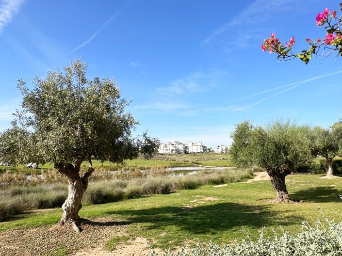 Image No.35-2 Bed Apartment for sale