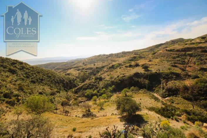 Image No.31-4 Bed Cortijo for sale