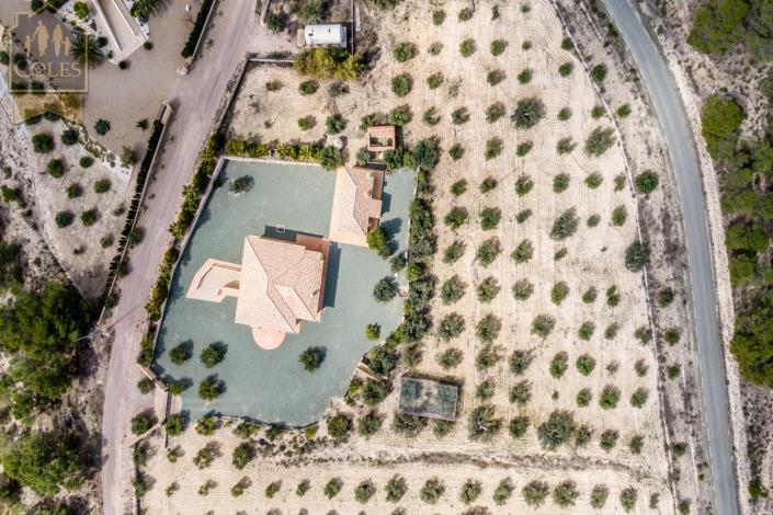 Image No.3-4 Bed Villa / Detached for sale