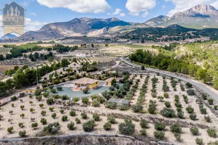 Image No.4-4 Bed Villa / Detached for sale