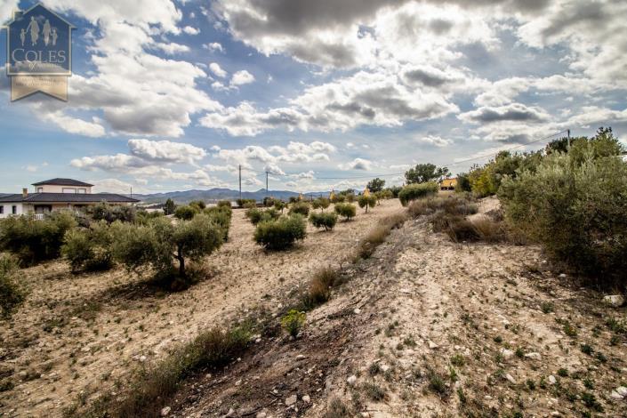 Image No.12-4 Bed Villa / Detached for sale