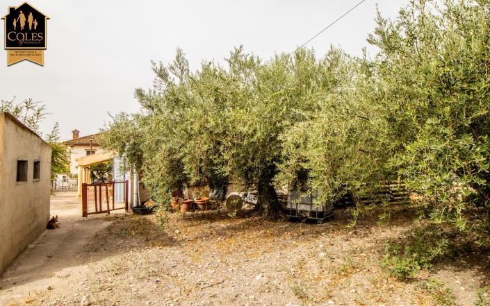 Image No.25-4 Bed Villa / Detached for sale