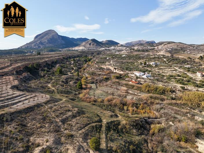 Image No.4-7 Bed Cortijo for sale