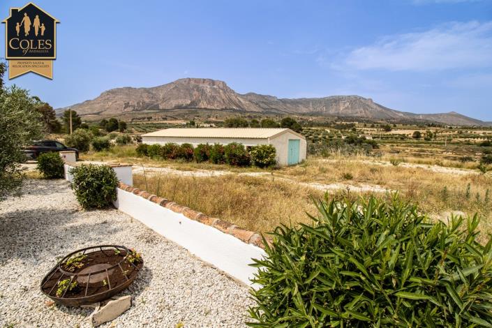Image No.59-8 Bed Cortijo for sale