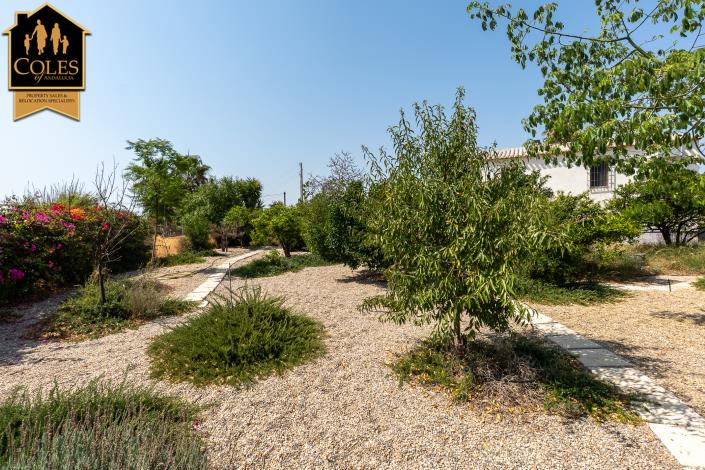 Image No.31-4 Bed Cortijo for sale
