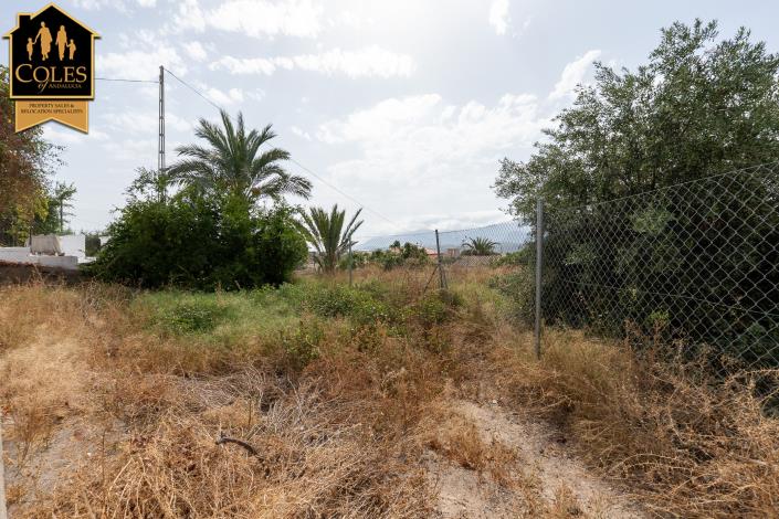 Image No.17-3 Bed Cortijo for sale