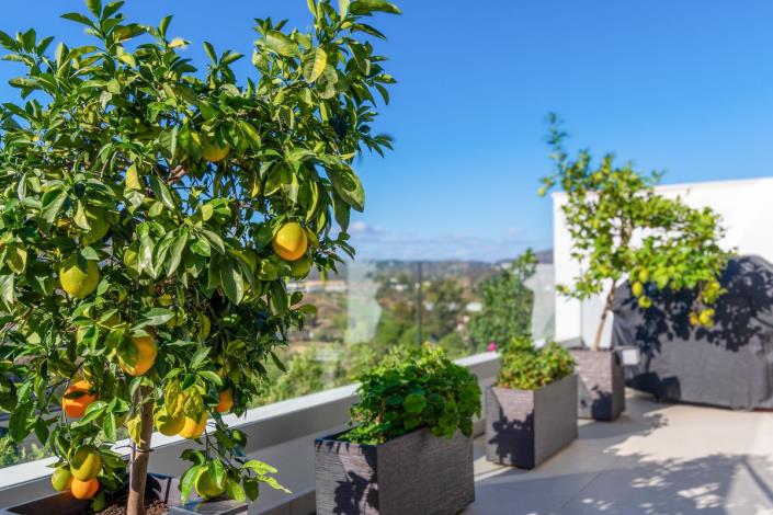 Image No.31-2 Bed Apartment for sale