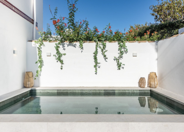 Screenshot-2025-03-19-at-12-20-39