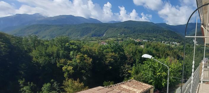 Image No.41-4 Bed House for sale