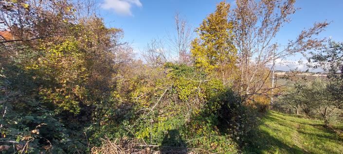 Image No.25-2 Bed Country Property for sale