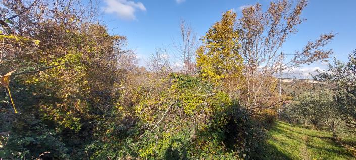 Image No.26-2 Bed Country Property for sale