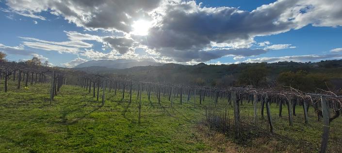 Image No.9-Country House for sale