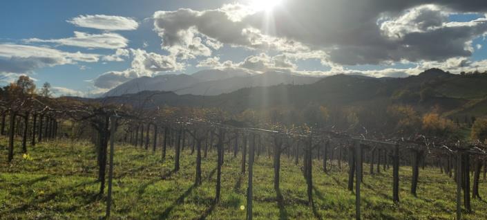 Image No.14-Country House for sale