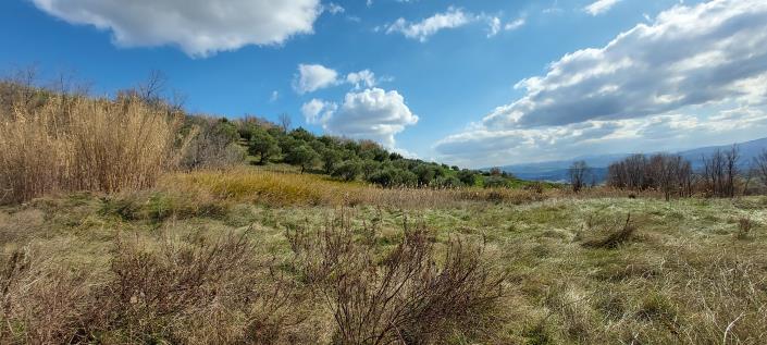 Image No.7-Country Property for sale