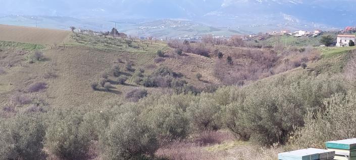 Image No.14-Country Property for sale