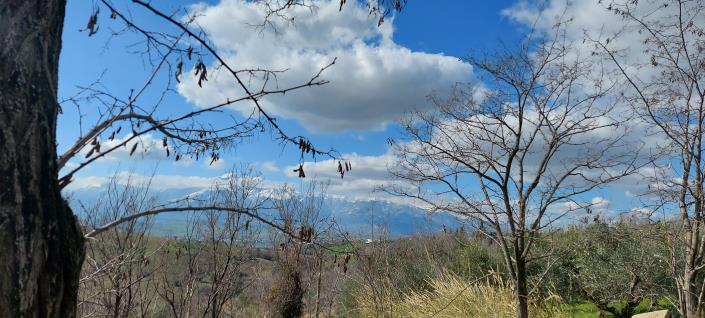 Image No.4-Country Property for sale