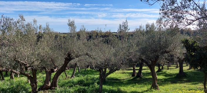 Image No.25-2 Bed Country Property for sale