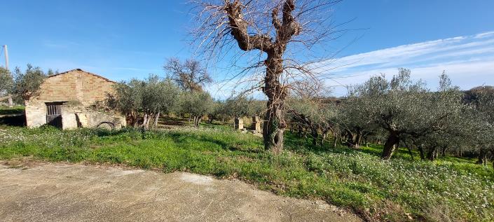 Image No.26-2 Bed Country Property for sale